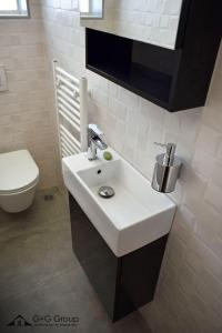 Ανακαίνιση WC