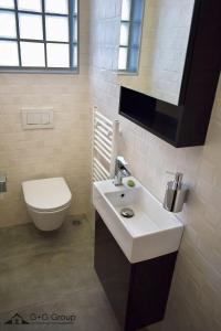 Ανακαίνιση WC