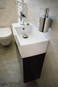 Ανακαίνιση WC